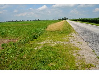 Property photo 1 - LAND AUCTION - 80+/- Acres offered in 1 Tract in Allen County